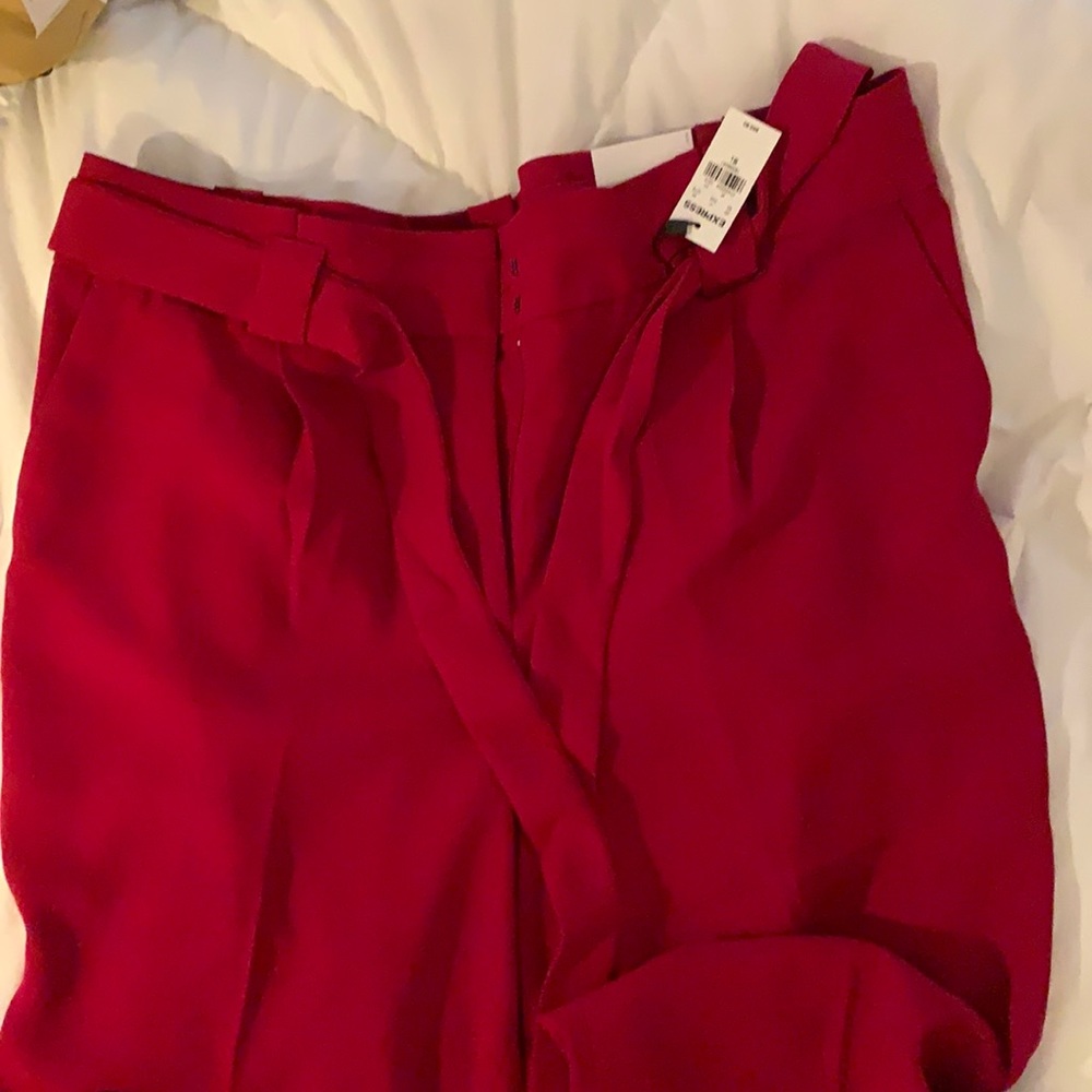 Express Dress Pants